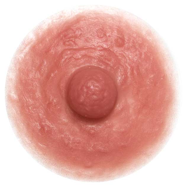 Divine Collection HERA CustomSkin Breast Forms