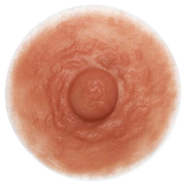 Divine Collection HERA CustomSkin Breast Forms