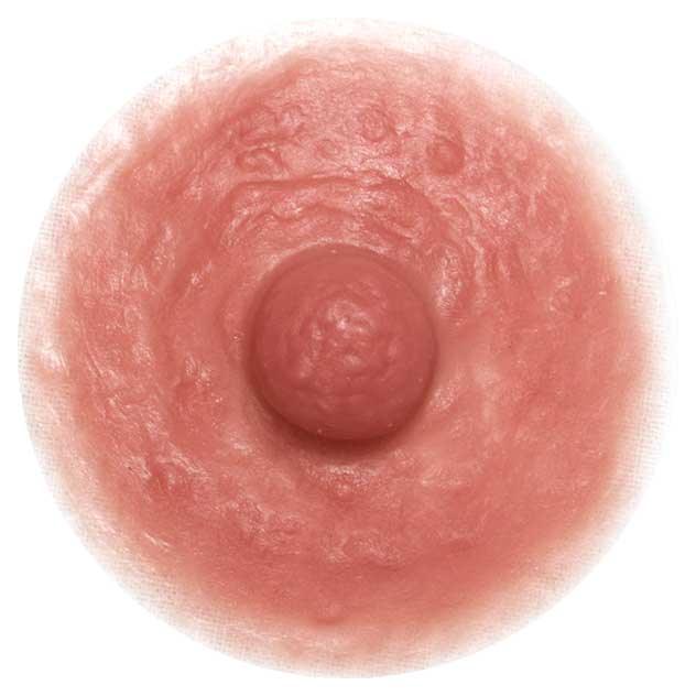 Divine Collection Venus Self-Adhering Breast Enhancers