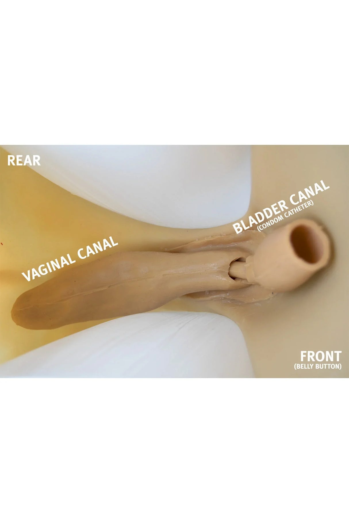 GOLD SEAL NAKED VAGINA PANTY - stretchy and penetrable